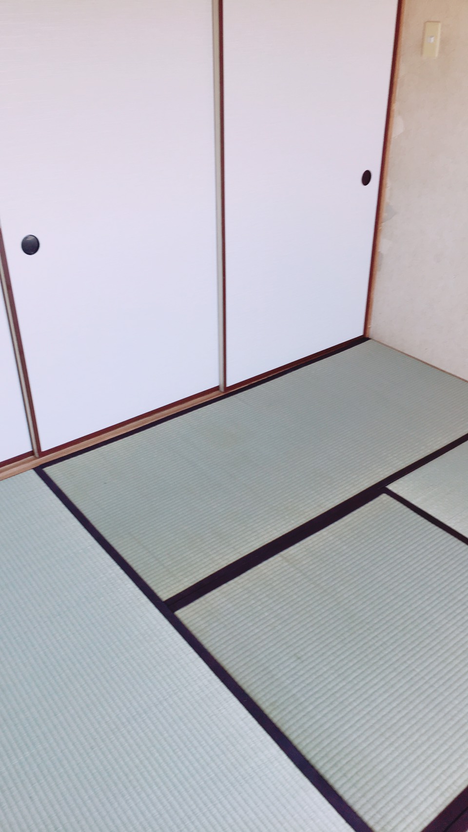 西尾市のお客様網戸の張替え写真