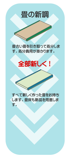 畳の表替とはどういう施工か