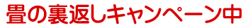 畳の裏返しキャンペーン中