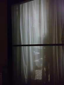 あみどの張り替え写真