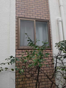 あみどの張替え写真