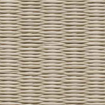 畳ゴザの画像